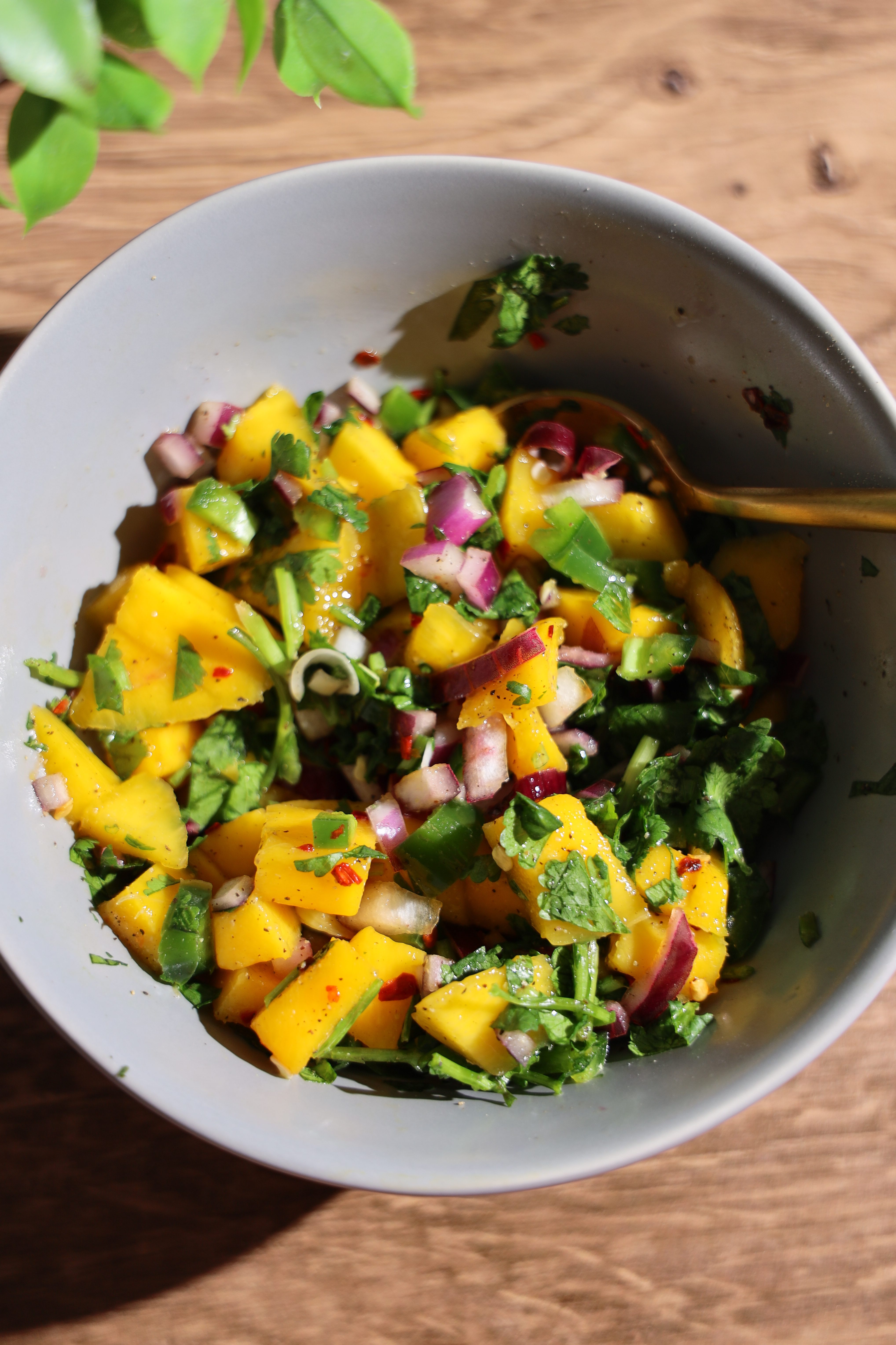 Easy Sweet and Spicy Mango Salsa
